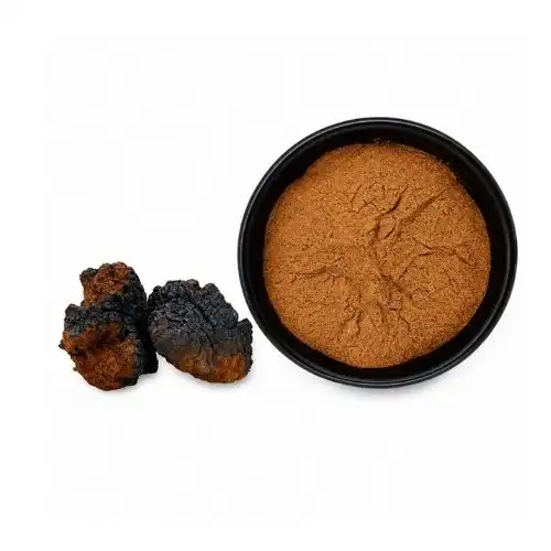 How do melanins in chaga contribute to oxidative stress relief